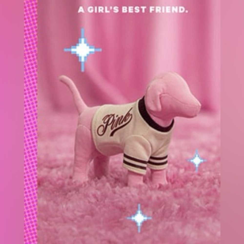 Victoria’s Secret PINK PINK Friday Mini Dog Limited Edition